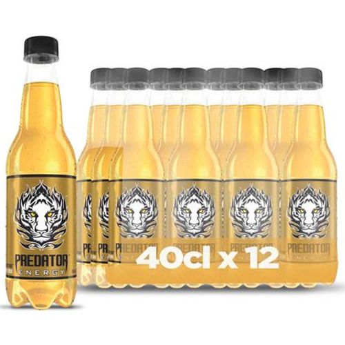 Predator Energy Drink Gold Pet 40cl x12